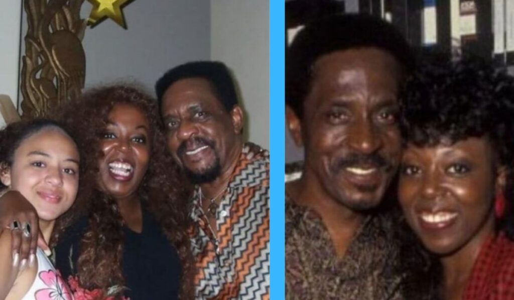 Unveiling Twanna Turner Melby: The Powerful Legacy and Musical Journey of Ike Turner’s Daughter Twanna Turner Melby