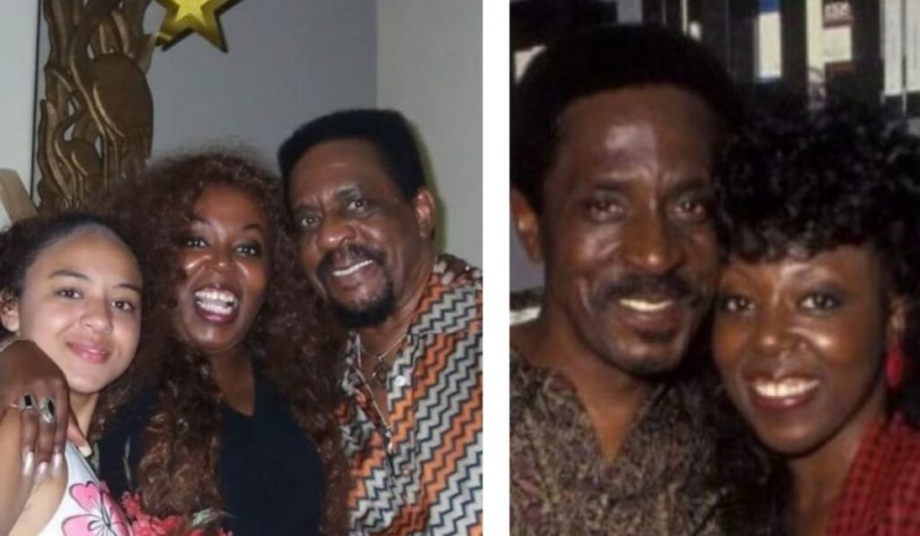 Unveiling Twanna Turner Melby: The Powerful Legacy and Musical Journey of Ike Turner’s Daughter Twanna Turner Melby
